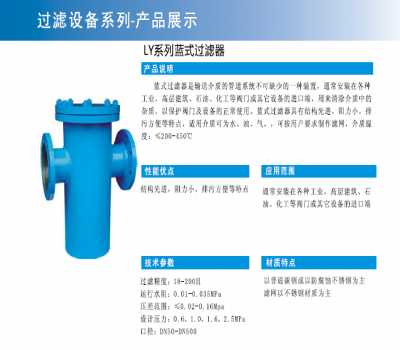 LY系列藍式過濾器